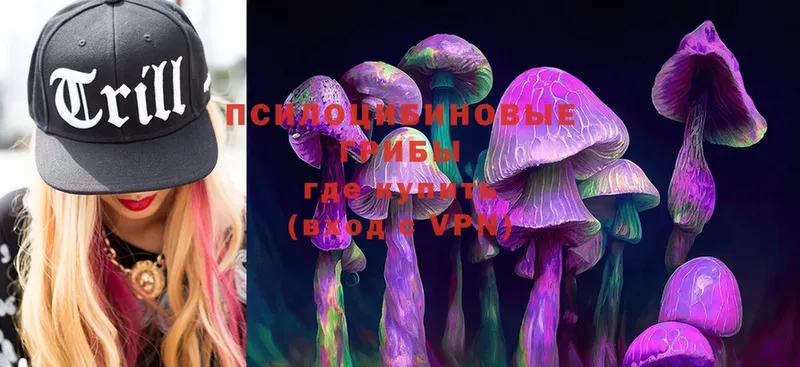 Галлюциногенные грибы Psilocybine cubensis  Новоульяновск 